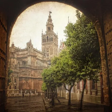 Vive Apartment Seville